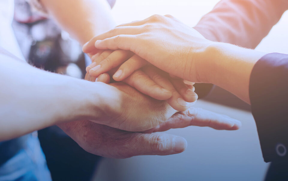 bims-solucoes-blog-03